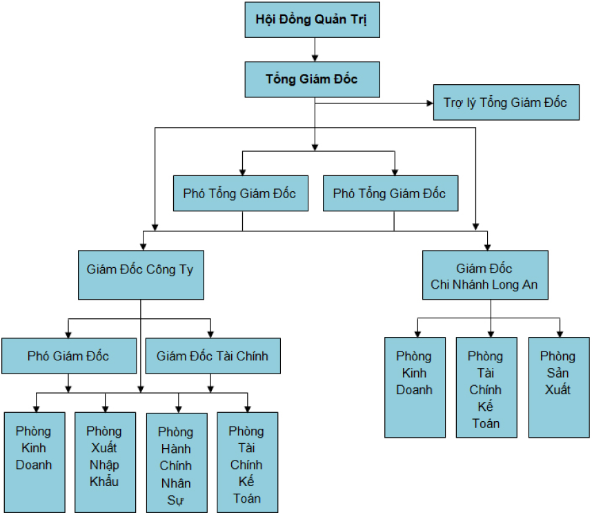 Cơ cấu tổ chức
